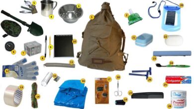 Тревожный чемоданчик. Действия после сигнала тревоги. План действий с родными. Полезная информация если война