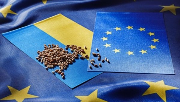Єврокомісія шукає баланс між допомогою Україні та захистом ринку ЄС