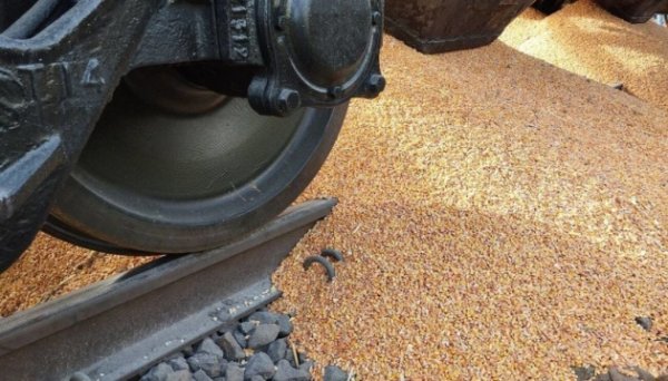 У Польщі з вагонів висипали 160 тонн українського зерна