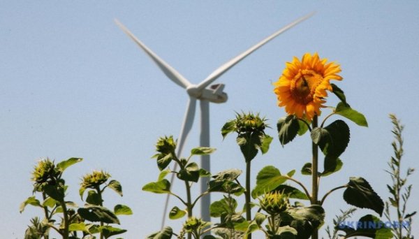 Торік в Україні ввели в експлуатацію 13 великих вітрових турбін