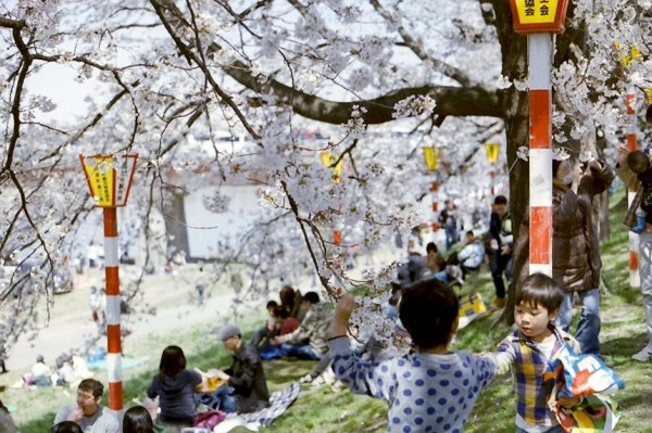 Весняне рівнодення 2025: дата, традиції та народні прикмети