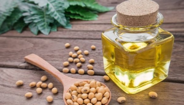 Україна збільшує експорт соєвої олії попри падіння котирувань на неї