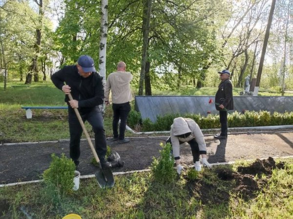 У Чорнобилі висадили троянди на честь ліквідаторів аварії: фото