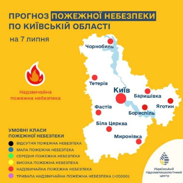 Синоптики попереджають про пожежну небезпеку на Київщині 6-8 липня: подробиці