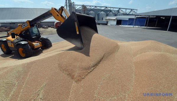 Урожай і ціни на зернові: чи вдасться цьогоріч заробити аграріям