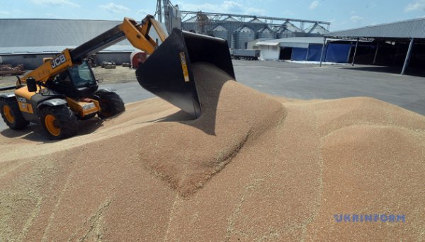 Україна у липні експортувала 3,4 мільйона тонн агропродукції - УКАБ