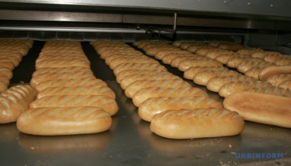 В Україні може подорожчати хліб - експерт