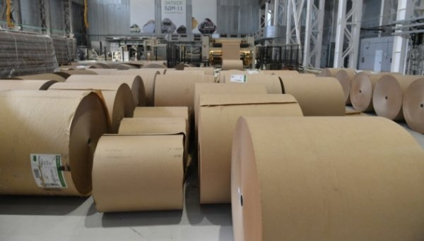 У Росії паперова промисловість опинилась у глибокій кризі - розвідка