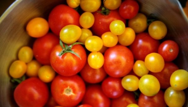 В Україні дорожчають тепличні помідори