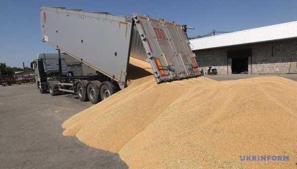 Урожай-2025: точно не гірший, аніж торік