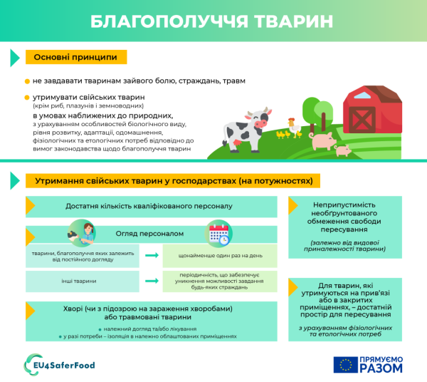 Відсьогодні в Україні діють європейські вимоги до благополуччя сільгосптварин