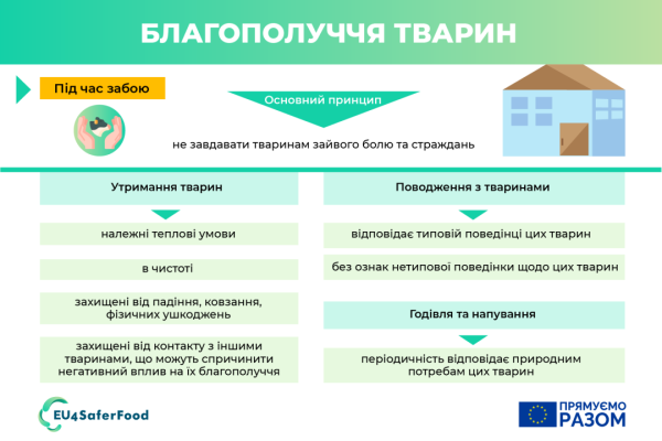 Відсьогодні в Україні діють європейські вимоги до благополуччя сільгосптварин