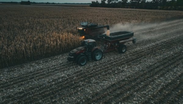 Як зерно з окупованих територій &laquo;перефарбовують&raquo; у російсько-білоруське