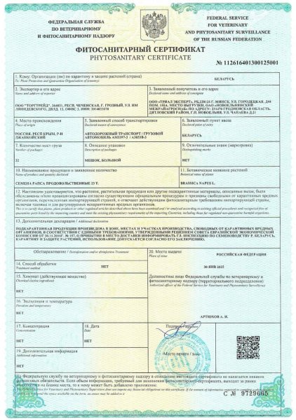 Як зерно з окупованих територій &laquo;перефарбовують&raquo; у російсько-білоруське