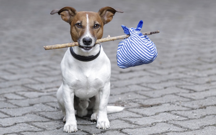 Утеря документов за границей: юридические советы. Обязательно сохранить!