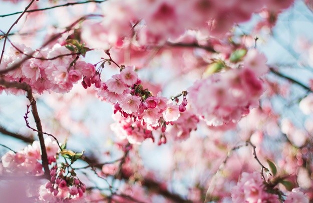 Прячьте шубу: какая погода ждет киевлян на следующей неделе?