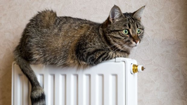 Собственная квартира в Киеве: миф или реальность