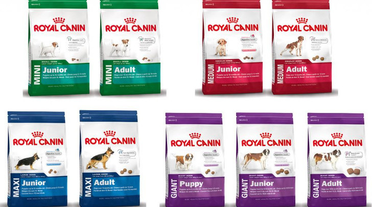 Лучшие корма для собак Royal Canin