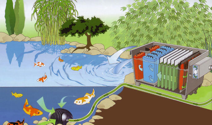 Фильтр для пруда – какой купить и почему?