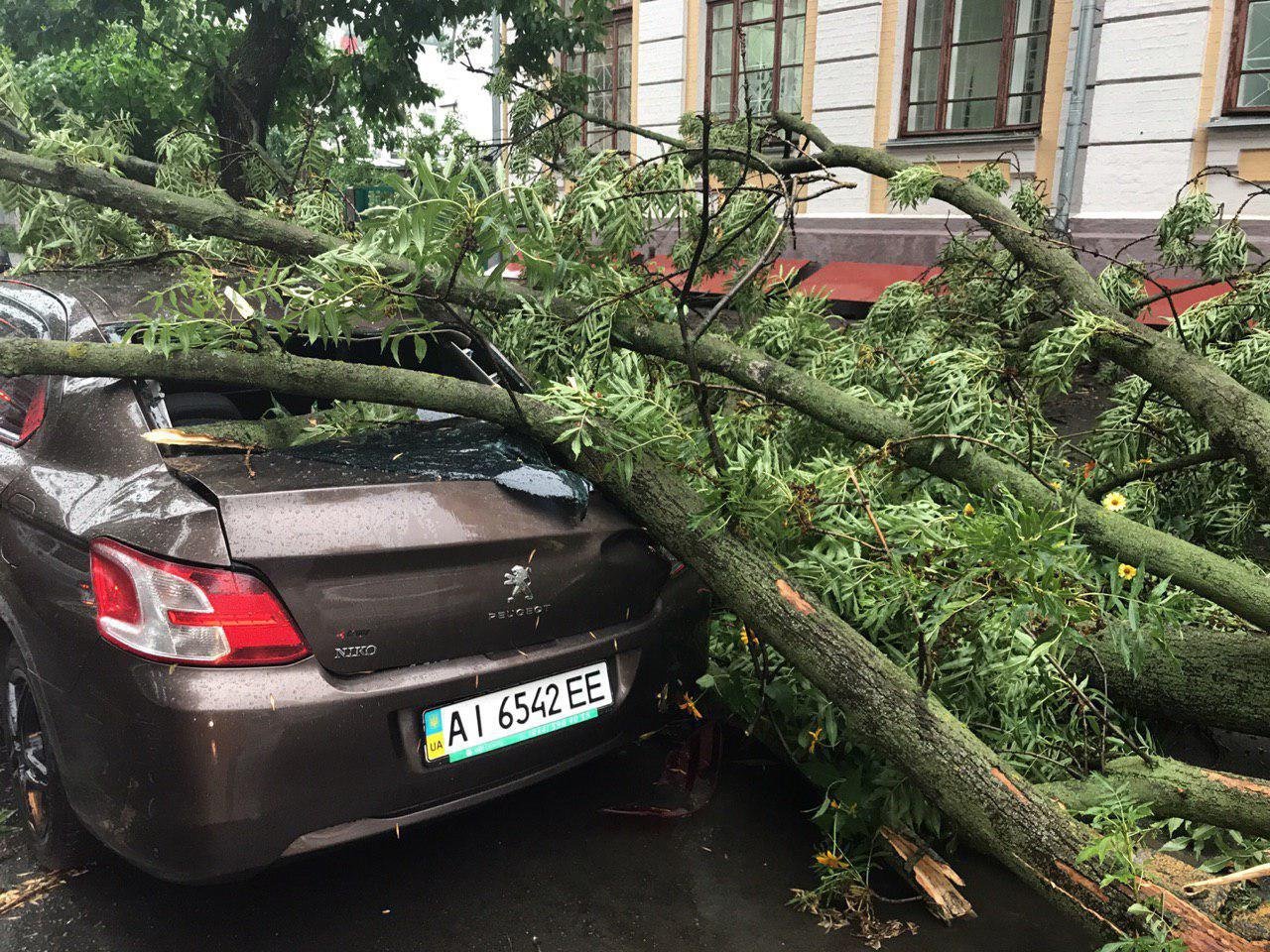 Гроза оставила в Киеве значительные повреждения. Будьте осторожны!