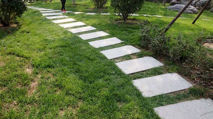 Какой марки бетон выбрать для дорожки в саду?